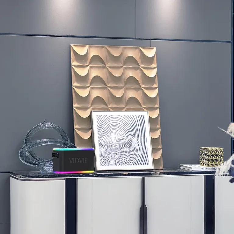 VIDVIE Heavy Duty Portable Bluetooth Speaker