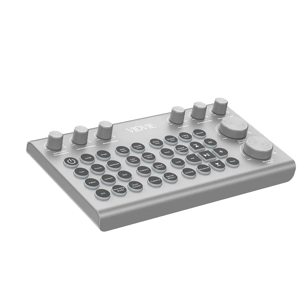 VIDVIE Party Stereo Speakers