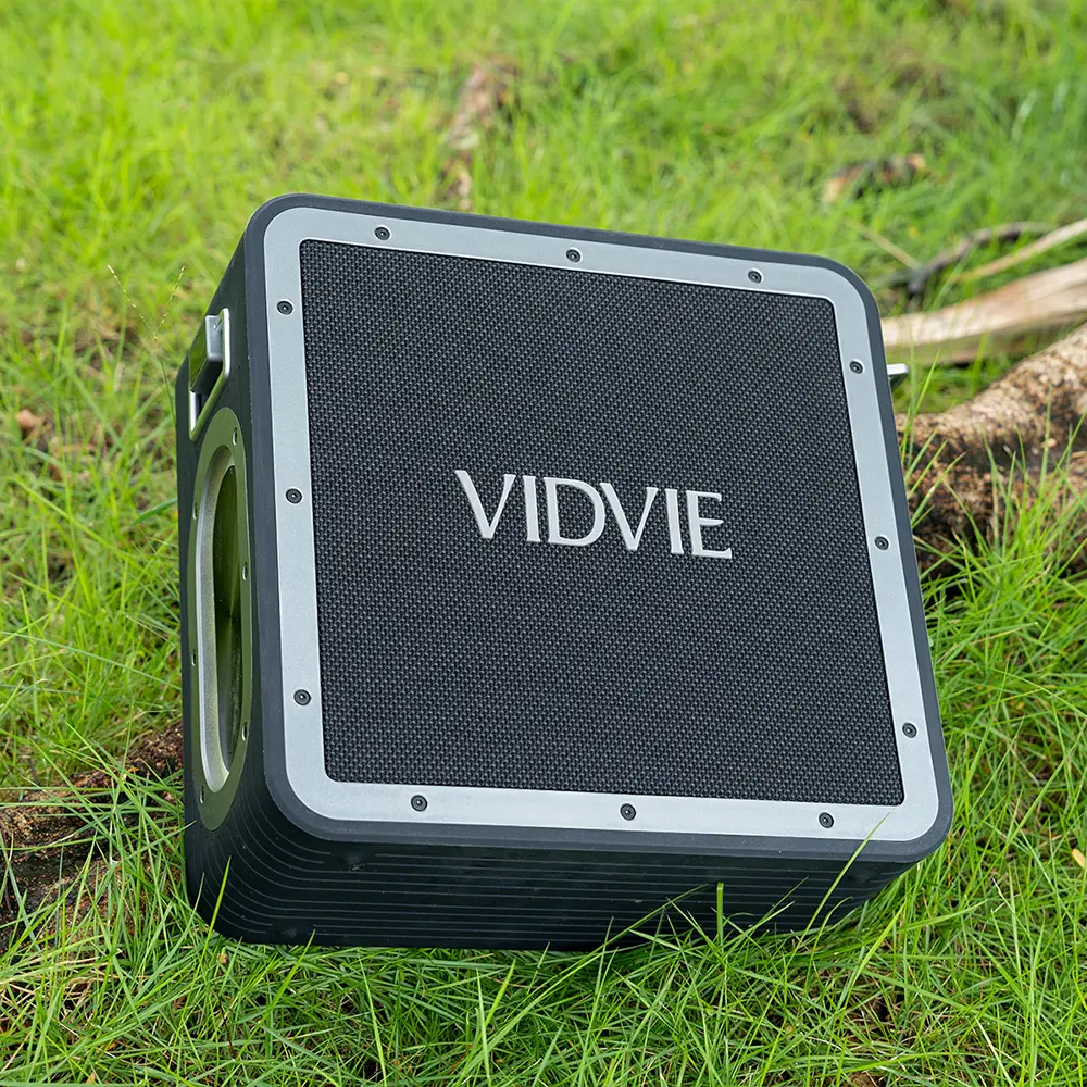 VIDVIE High Output Power Speakers