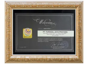 VIDVIE cell phone accessories wholesale