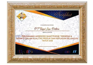 VIDVIE phones accessories sourcing