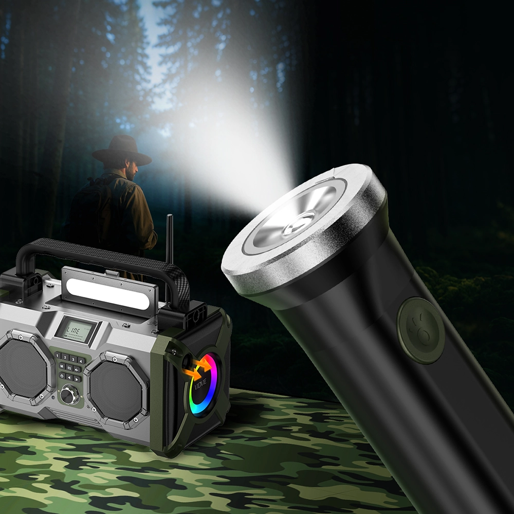 VIDVIE High Power Bluetooth Speaker Supplier